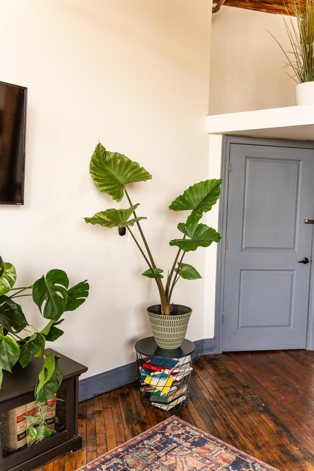 420 Friendly Canada Bridge View Loft Downtown Free Parking Детройт Экстерьер фото